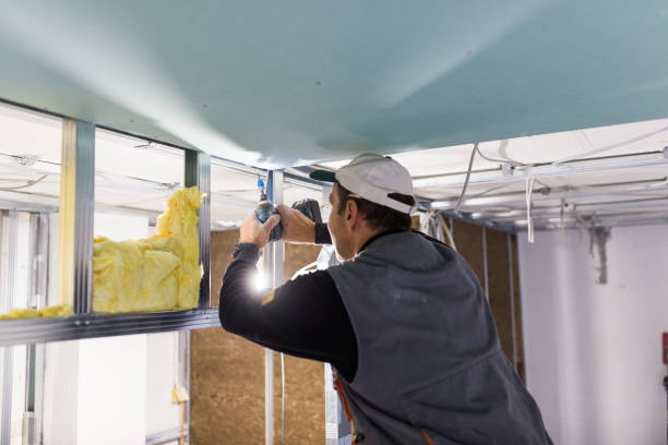 Best Blown-in Insulation in Nashville, NC